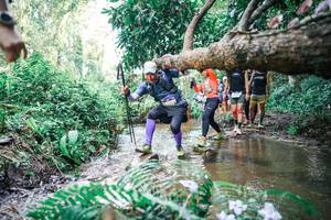 BIB: 
                            <button type="button" onclick="openModal(25477951)" class="btn btn-primary btn-sm float-right btn-popup" data-toggle="modal" data-target=".modal-high-quality">
                        <i class="fas fa-shopping-cart"></i> Add to Cart
                    </button>
                                            <button type="button" onclick="isThisMe(25477951, true)" class="btn btn-success btn-sm float-right btn-popup btn-isme hidden" data-toggle="tooltip" data-placement="bottom" title="นี่คือรูปของคุณใช่ไหม คลิกที่นี่เพื่อเอาเข้าอัลบั้ม">
                        <i class="fas fa-plus"></i> Add to album
                    </button>
                    <button type="button" onclick="isThisMe(25477951, false)" class="btn btn-warning btn-sm float-right btn-popup btn-isnotme hidden">
                        <i class="fas fa-ban"></i> Remove from album
                    </button>